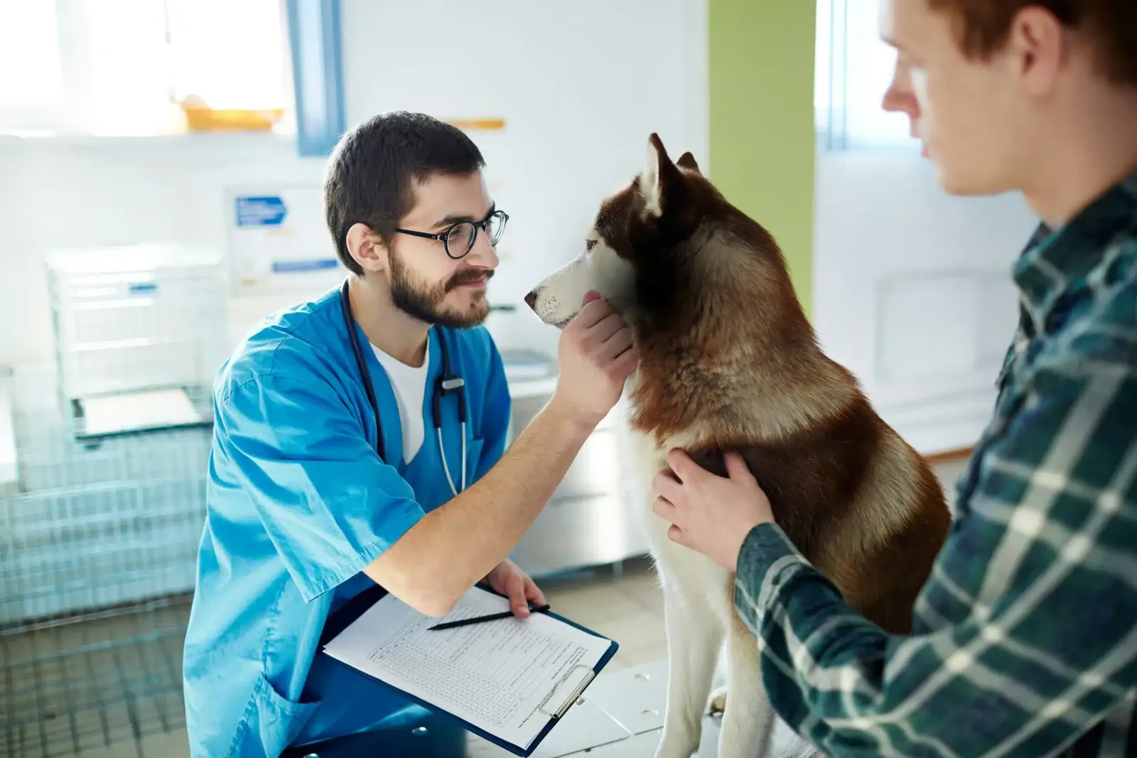 Veterinario con un cane